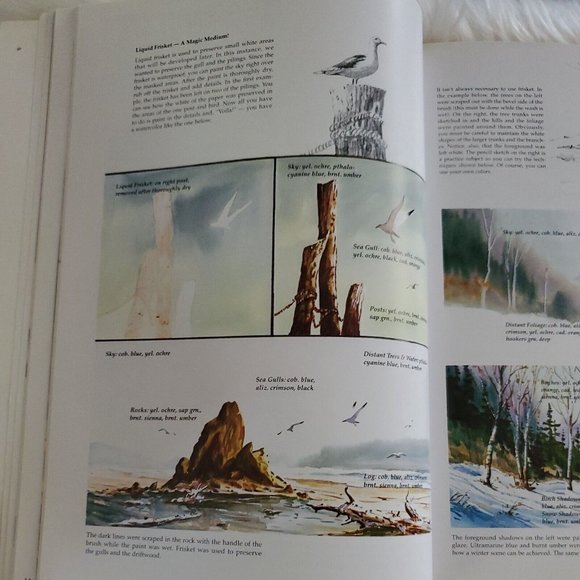 The Art of Watercolor (Collector's Series) Walter Foster 2004 - Picture 8 of 10